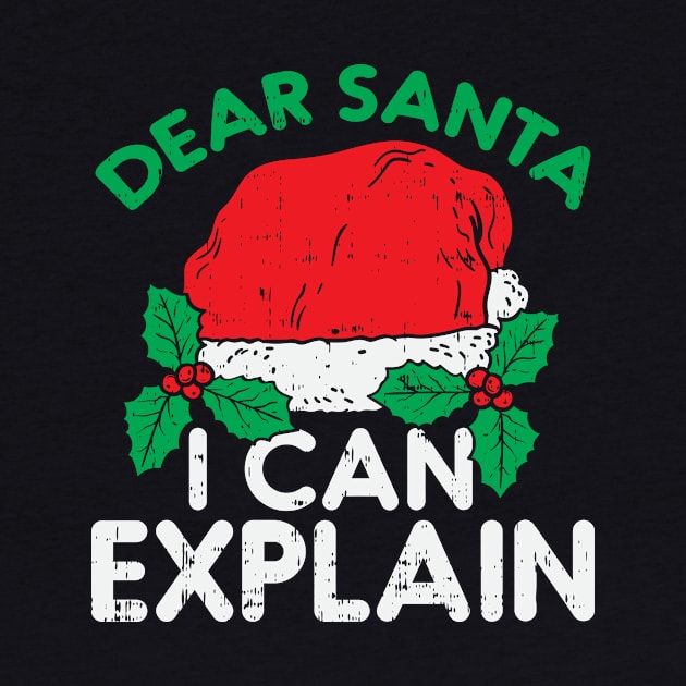 Dear Santa I Can Explain by dilger